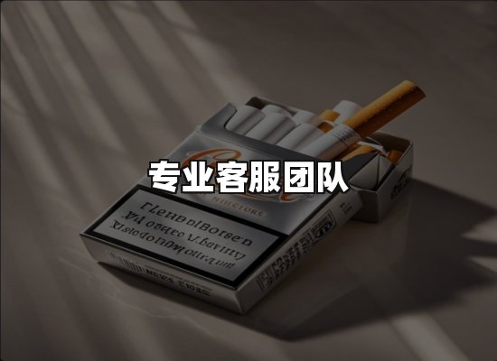 专业优势